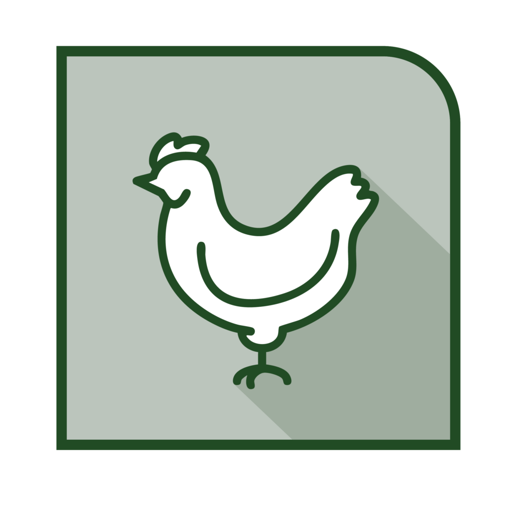 animals supplies farm dairy chicken