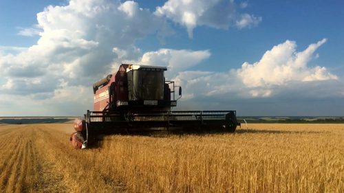combine-harvester-gathers-the-wheat-crop-wheat-harvesting-shears-combines-in-the-fi-SBV-325100267-HD.00_00_00_00.Still001